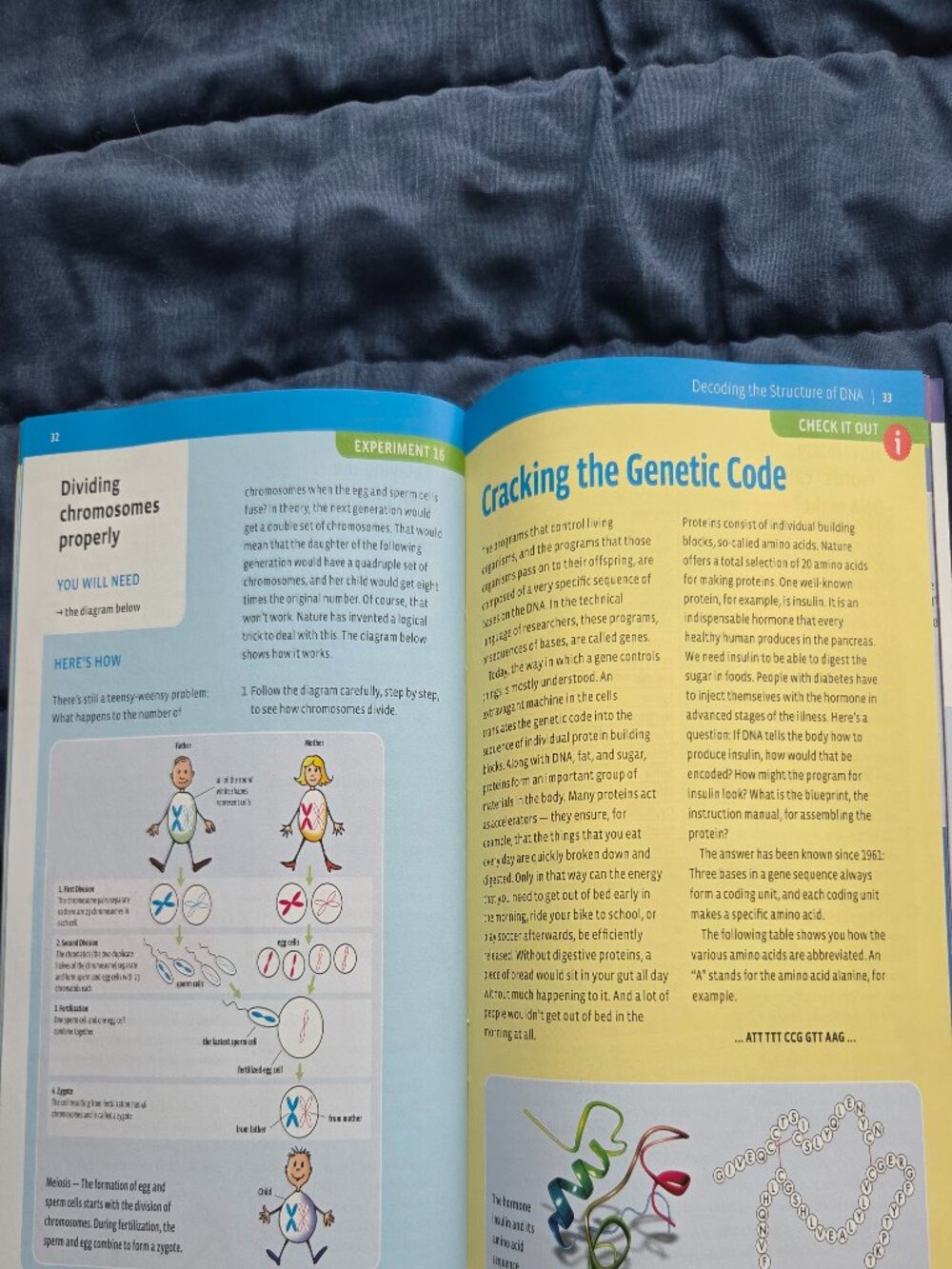 KIDS EDUCATIONAL STEM EXPERIMENT KIT, GENETICS AND DNA, AGES 10+ - Picture 8 of 10
